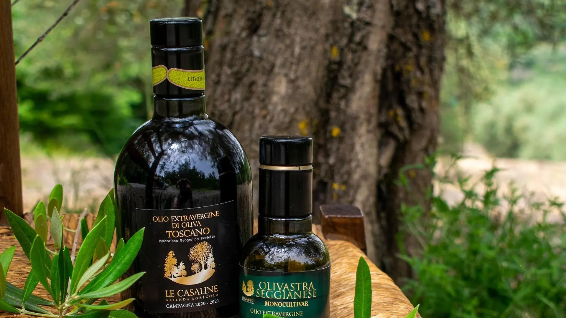 Agriturismo Le Casaline Seggiano Farm stay